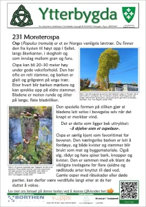 231 Monsterospa